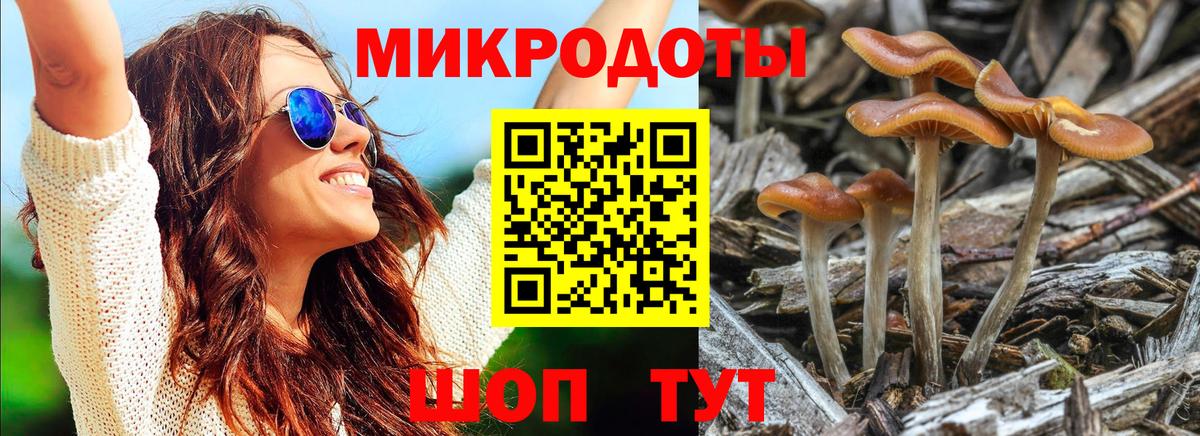 Псилоцибиновые грибы прущие грибы  Вход с VPN  Тосно 